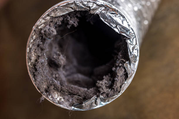 Best HVAC Duct Inspection Services  in Avon, MN